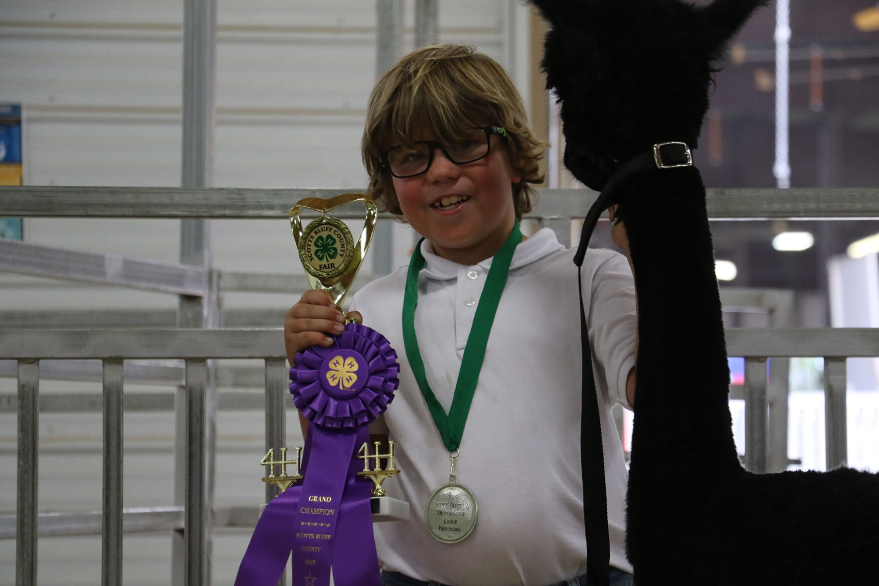 PHOTOS: Fiber Animal Show